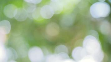 Bokeh backgrounds are bursting with color and glamor like a celebration. Suitable for advertising background. photo
