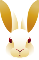 lindo personaje de dibujos animados de conejo png