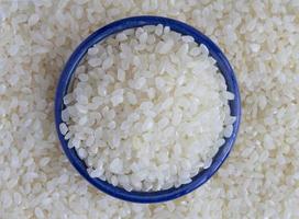 Japanese uruchimai mochigome rice consists of short translucent grains. photo
