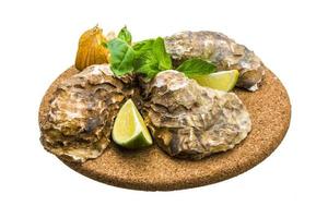 Fresh oyster on white photo