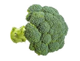 Broccoli on white photo