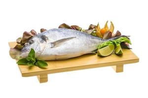 Fresh raw dorada photo