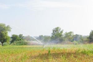 sistemas de riego agrícola que riegan la granja en un fondo blanco foto