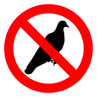 no hay señales de palomas png transparente