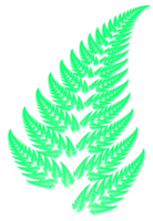 Green fern fractal transparent PNG