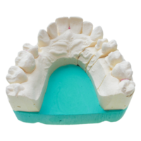 Positive teeth cast transparent PNG