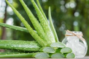 Aloe Vera on product display wood counter background. aloe vera is tropical green plants. Sliced Aloe Vera natural organic renewal cosmetics, alternative medicine. Organic Skin care concept. photo