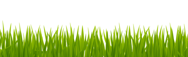 Realistic banner with grass png