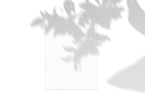 foglio di carta isolato con ombra png