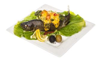 trout fish baked with shrimps and cauliflower photo