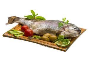 Fresh raw rainbow trout photo