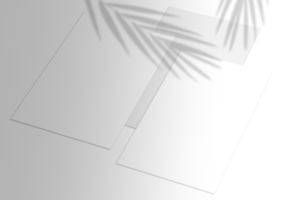 Isolated set of A4 poster with palms png