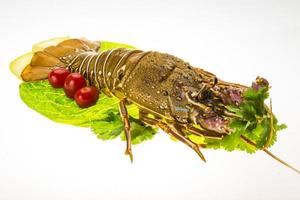 Raw spiny lobsters photo