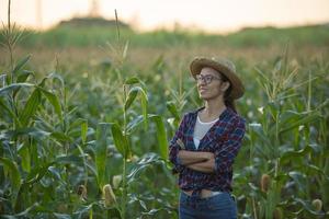 Portrait of pretty young farmer woman with crossed arms, Beautiful morning sunrise over the corn field. green corn field in agricultural garden and light shines sunset in evening Mountain background. photo