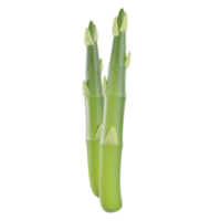 3d rendono l'oggetto di asparagi png