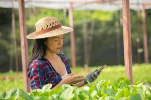 Asian woman farmers working using mobile in vegetables hydroponic farm with happiness. Portrait of woman farmer checking quality of green salad vegetable with smile in the green house farm. photo