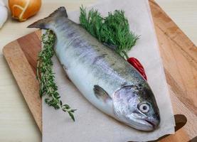 Raw trout on a board photo