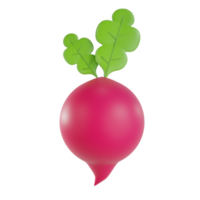 3d render radish object with transparent background png