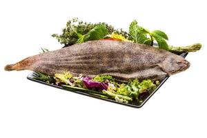 Fish Dover sole photo