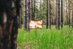 señal de advertencia oxidada en el bosque de pinos. foto