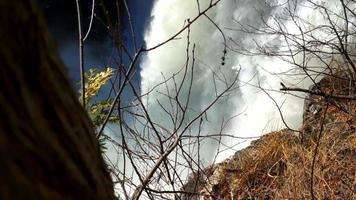 Eugenia vattenfall i skogsskyddsområdet video