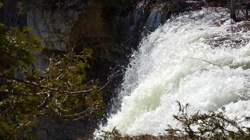 cachoeira eugenia na área de conservação florestal video