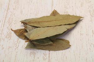 Dry laurel leaves photo