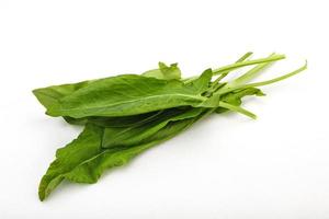 Aroma Fresh green sorrel heap photo