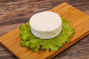 Delicous Brie round soft cheese photo