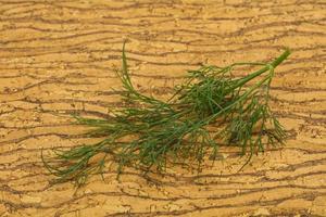 Fresh green dill herb branch photo