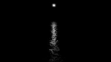 aislado luz de la luna en blanco y negro sobre el agua. video