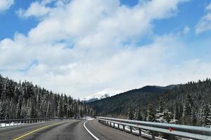 highway among the taiga in Eastern Siberia photo