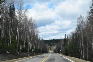 highway among the taiga in Eastern Siberia photo