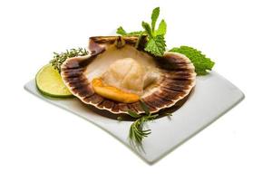 Scallop with asparagus, lime, mint and rosemary photo