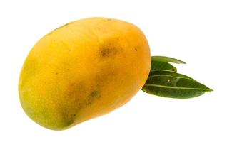 Yellow bright mango photo