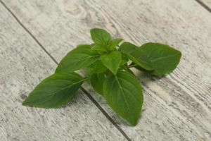 Fresh green Basil leaves - for cooking photo