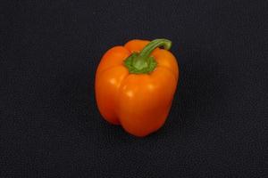 Orange bell pepper photo