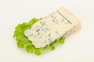 Italian traditional gorgonzola cheese isolated photo