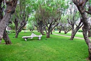 Nice garden with flowers and green lawn photo