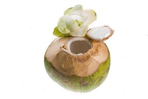 Coconut on white photo