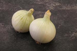 White ripe sweet onion vegetable photo