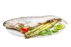 Fresh raw rainbow trout photo