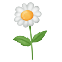 tusensköna blomma clipart png