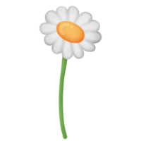 clipart fiore margherita png