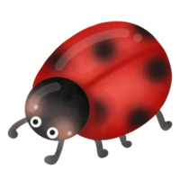 bug de senhora bonito dos desenhos animados png