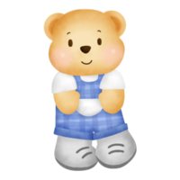 orso dell'acquerello in acquerello png