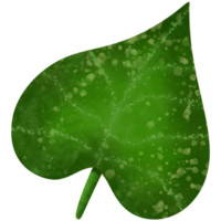 illustration aquarelle de feuilles tropicales png