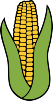 Corn - corncob with green leaves png illustration