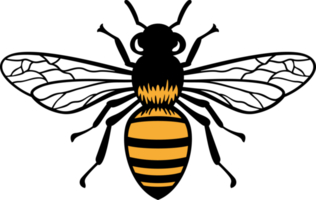 Bee Insect Color png Illustration