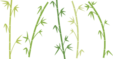 gröna bambu stjälkar png illustration